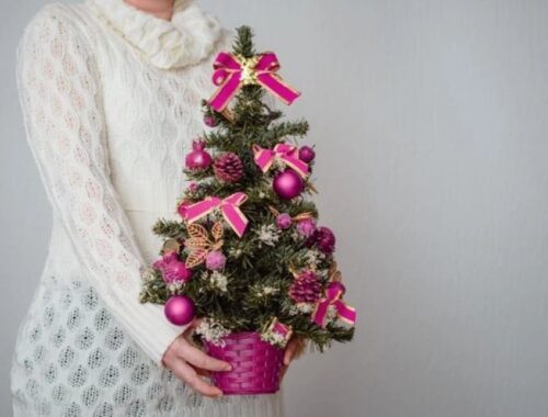 closeup-white-woman-holding-tiny-tree