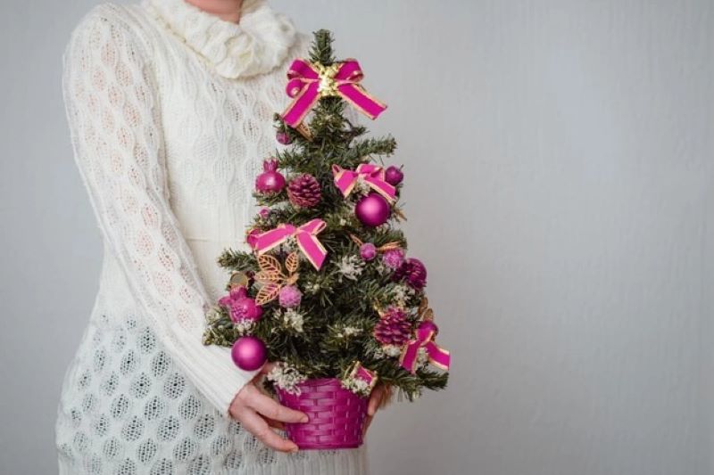 closeup-white-woman-holding-tiny-tree