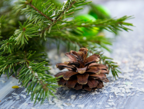 Unleash Your Inner Science Geek and Nerd with Artificial Christmas Garlands