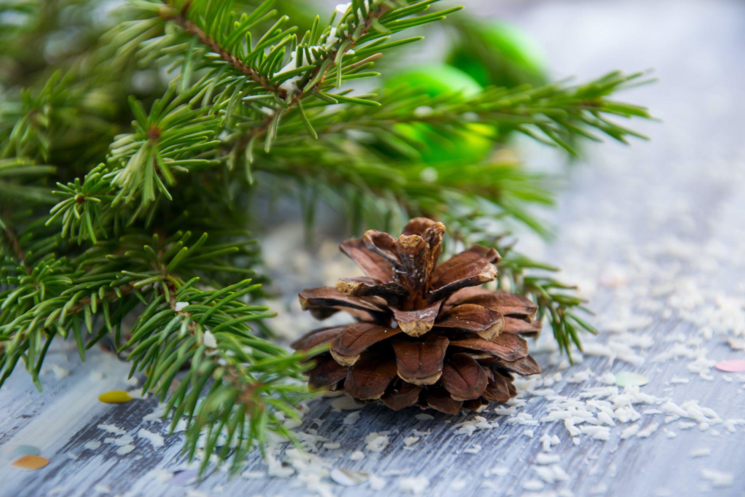 Unleash Your Inner Science Geek and Nerd with Artificial Christmas Garlands